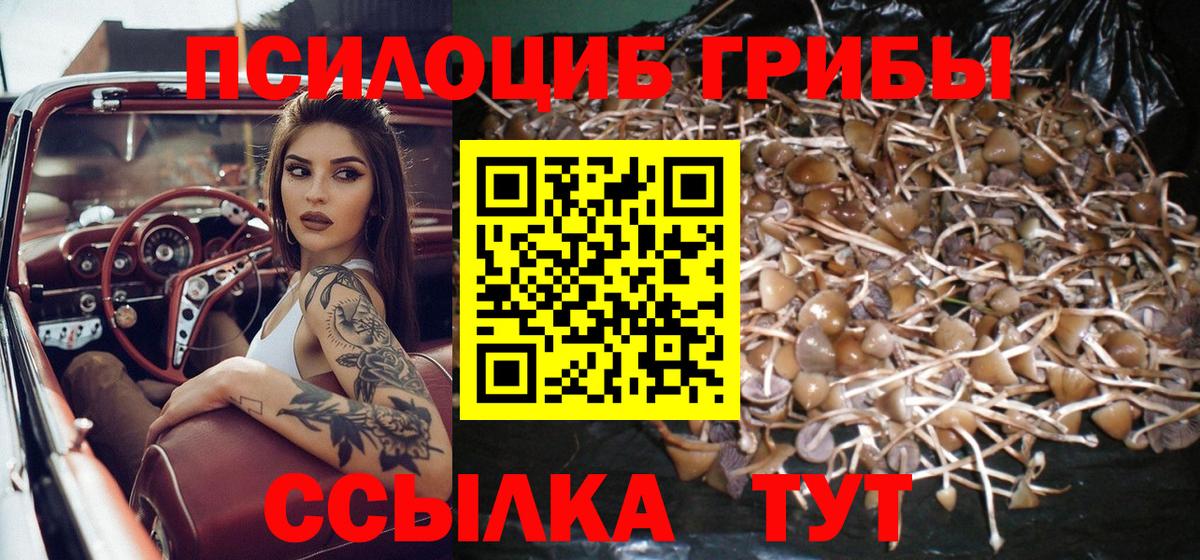 Старая Купавна  Галлюциногенные грибы MAGIC MUSHROOMS  Вход с VPN  Псилоцибиновые грибы мицелий 